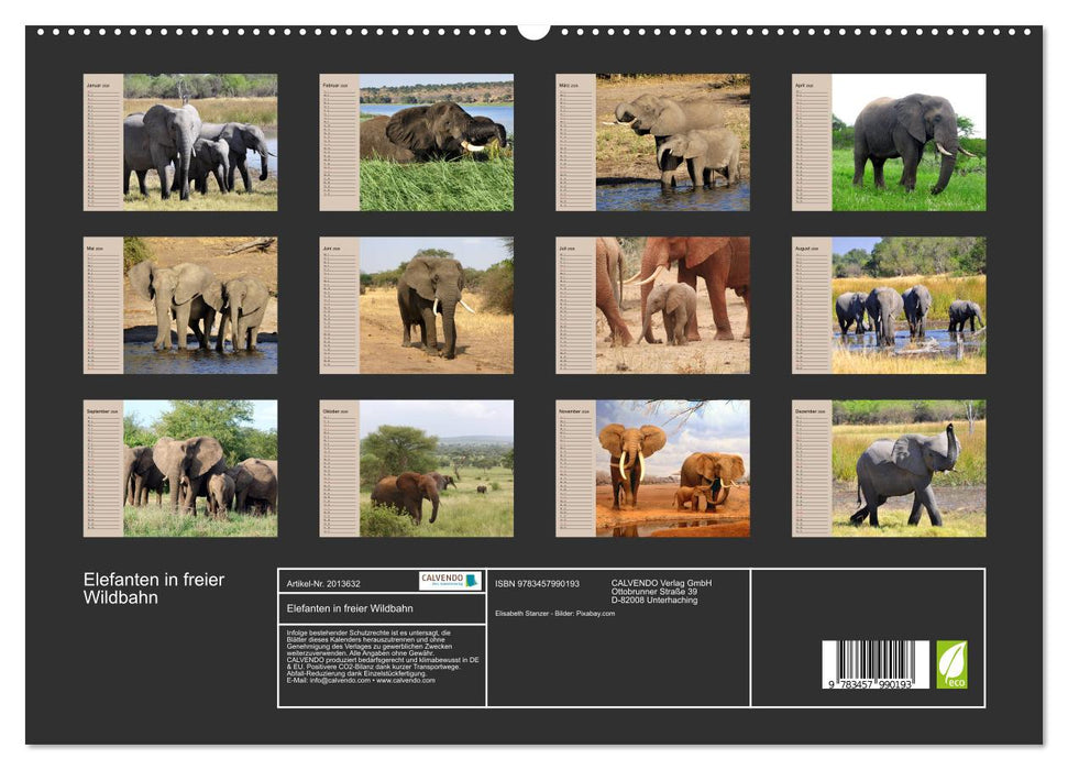 Elefanten in freier Wildbahn (CALVENDO Premium Wandkalender 2026)