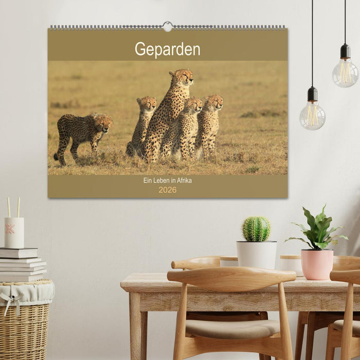 Geparden - Ein Leben in Afrika (CALVENDO Wandkalender 2026)