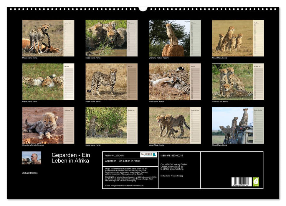 Geparden - Ein Leben in Afrika (CALVENDO Wandkalender 2026)