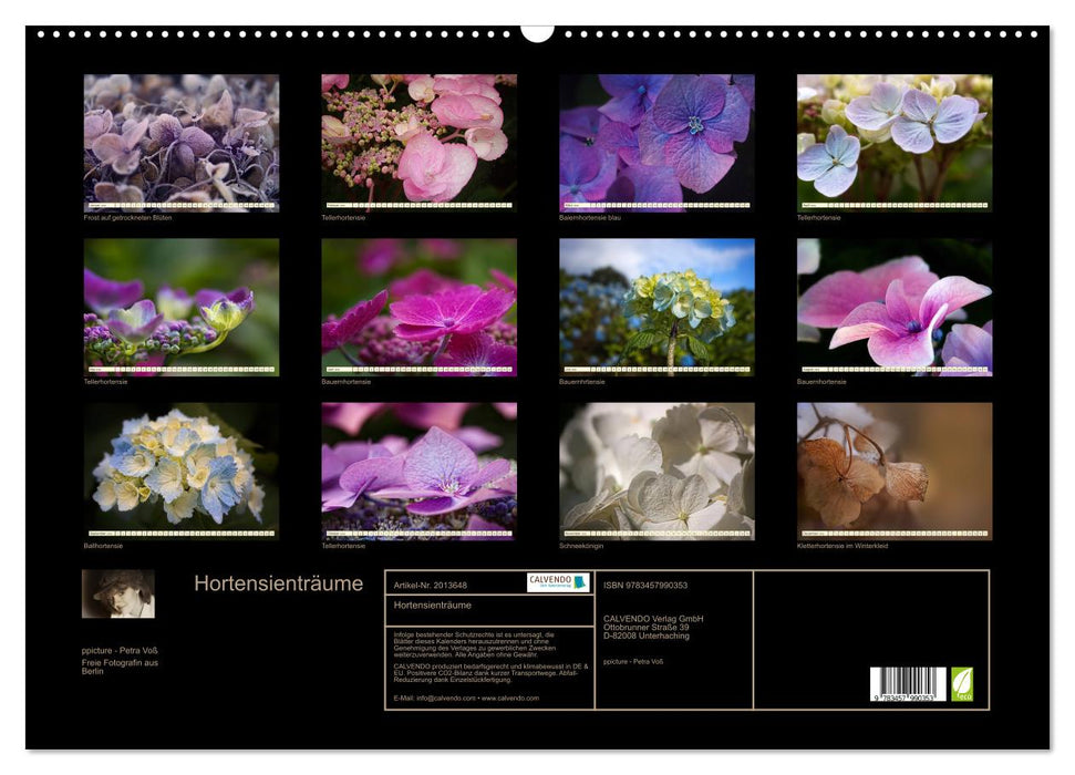 Hortensienträume (CALVENDO Wandkalender 2026)