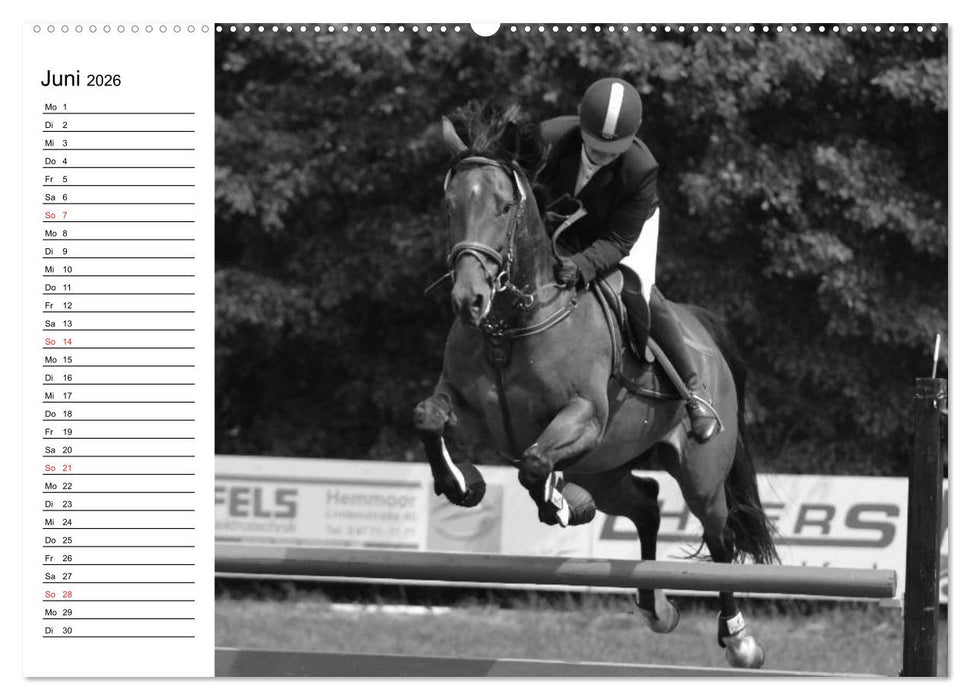 Leidenschaft Pferdesport - Impressionen (CALVENDO Wandkalender 2026)