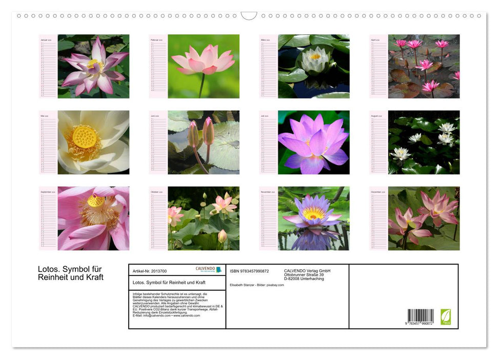 Lotos. Symbol für Reinheit und Kraft (CALVENDO Wandkalender 2026)