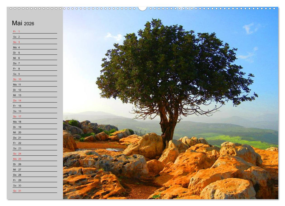 Magische Bäume (CALVENDO Wandkalender 2026)