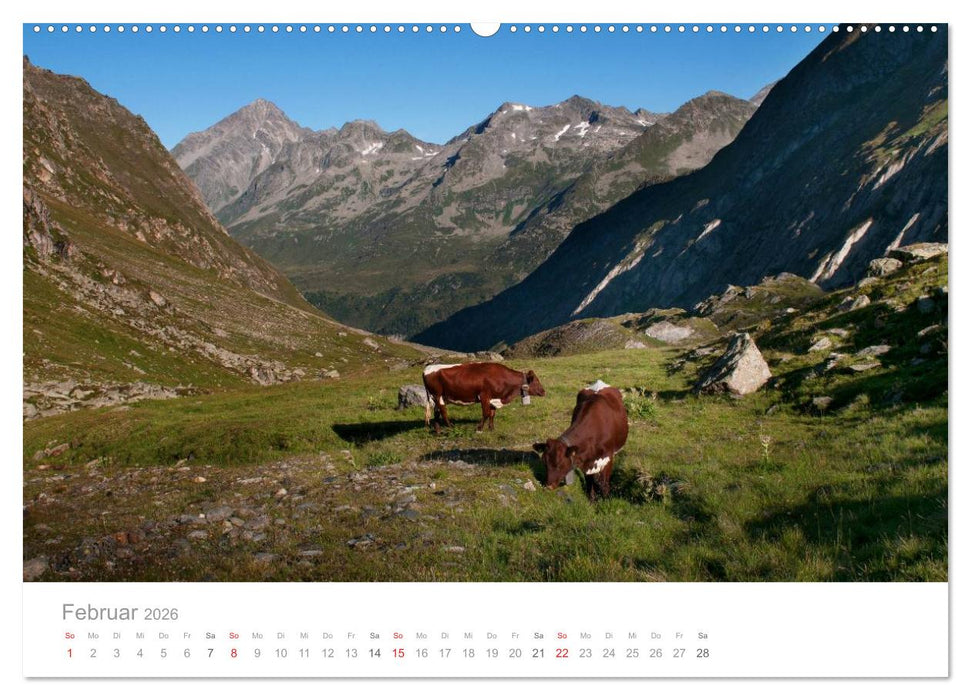 Bekannte und unbekannte Almen in Südtirol (CALVENDO Wandkalender 2026)