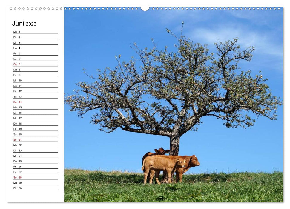 Südschwarzwald - Impressionen (CALVENDO Premium Wandkalender 2026)