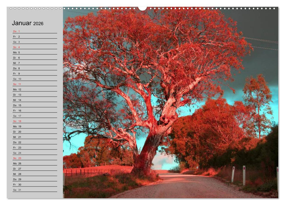 Australien. Impressionen (CALVENDO Premium Wandkalender 2026)