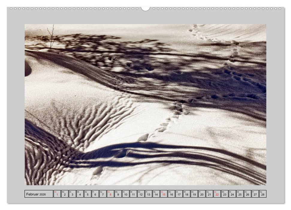 Farbenspiel - Kunstwerke in der Natur 2026 (CALVENDO Premium Wandkalender 2026)