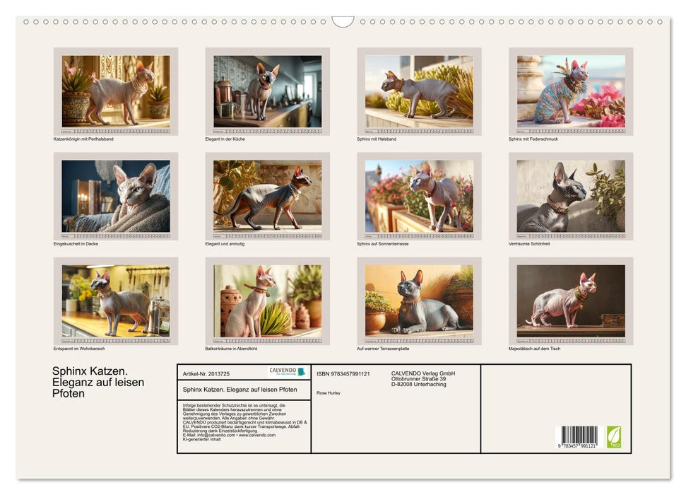 Sphinx Katzen. Eleganz auf leisen Pfoten (CALVENDO Wandkalender 2026)