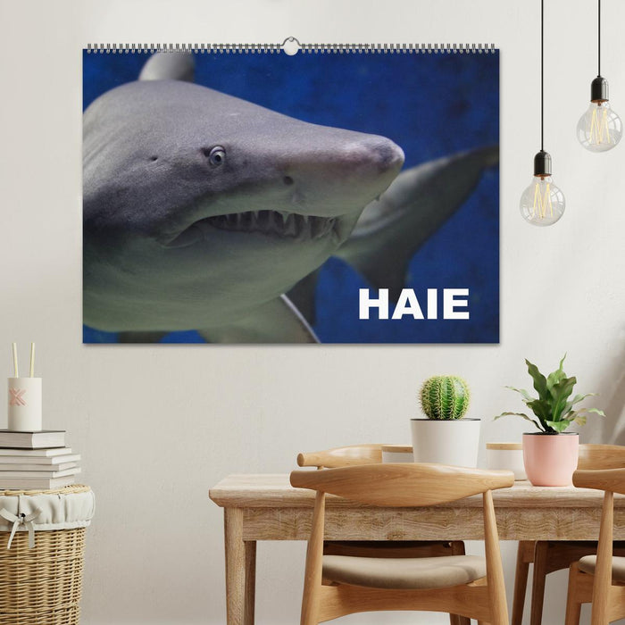 Haie (CALVENDO Wandkalender 2026)