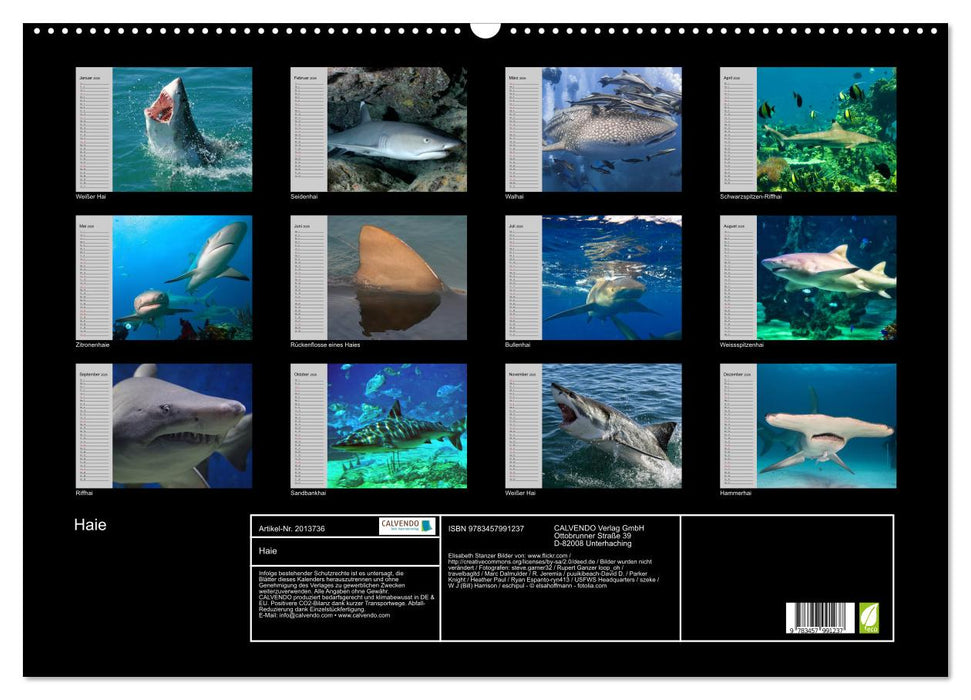 Haie (CALVENDO Wandkalender 2026)