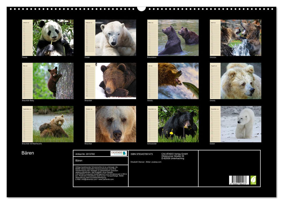 Bären (CALVENDO Wandkalender 2026)