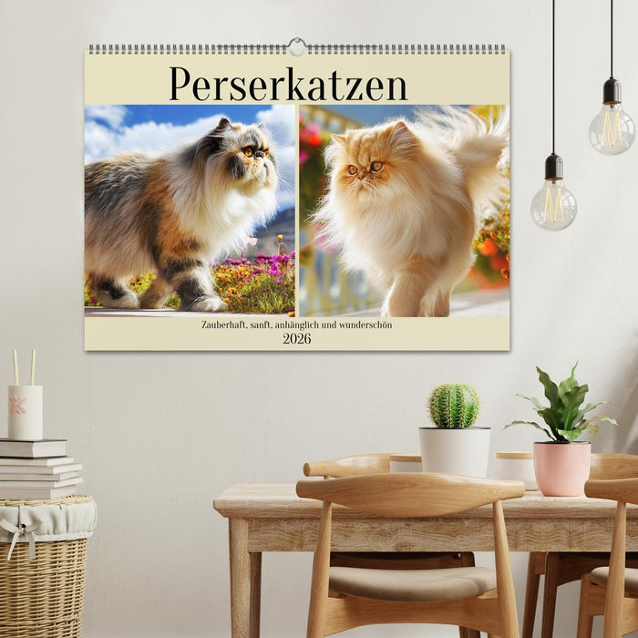 Perserkatzen. Zauberhaft, sanft, anhänglich und wunderschön (CALVENDO Wandkalender 2026)