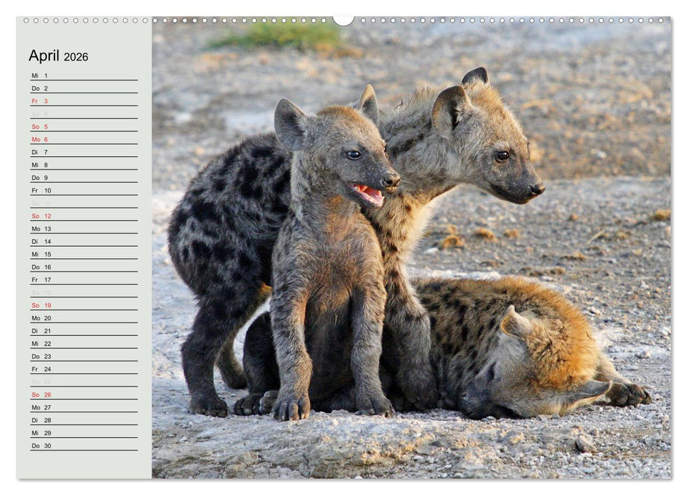 Afrikas wildes Kinderzimmer (CALVENDO Wandkalender 2026)