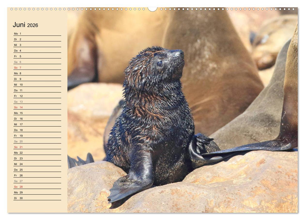 Afrikas wildes Kinderzimmer (CALVENDO Wandkalender 2026)