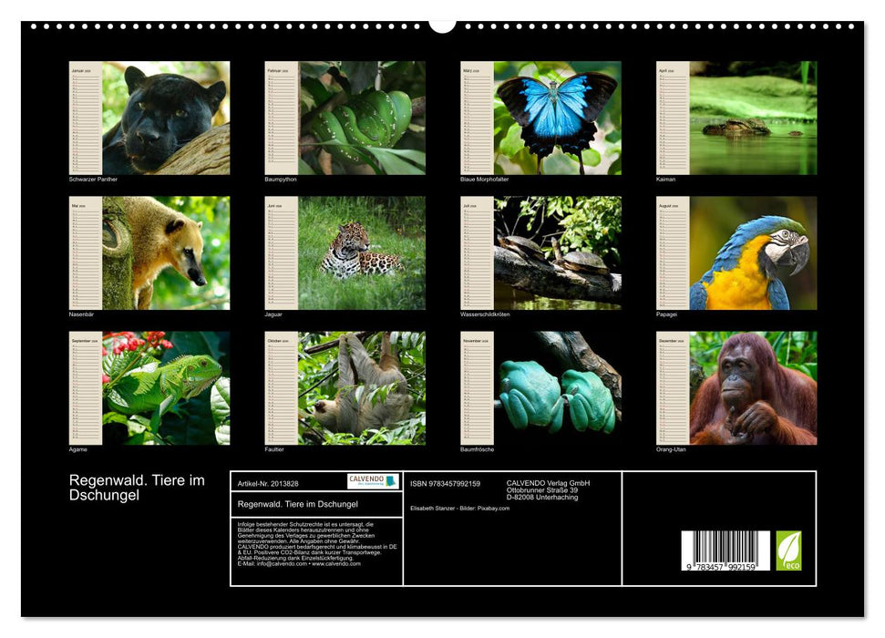 Regenwald. Tiere im Dschungel (CALVENDO Premium Wandkalender 2026)