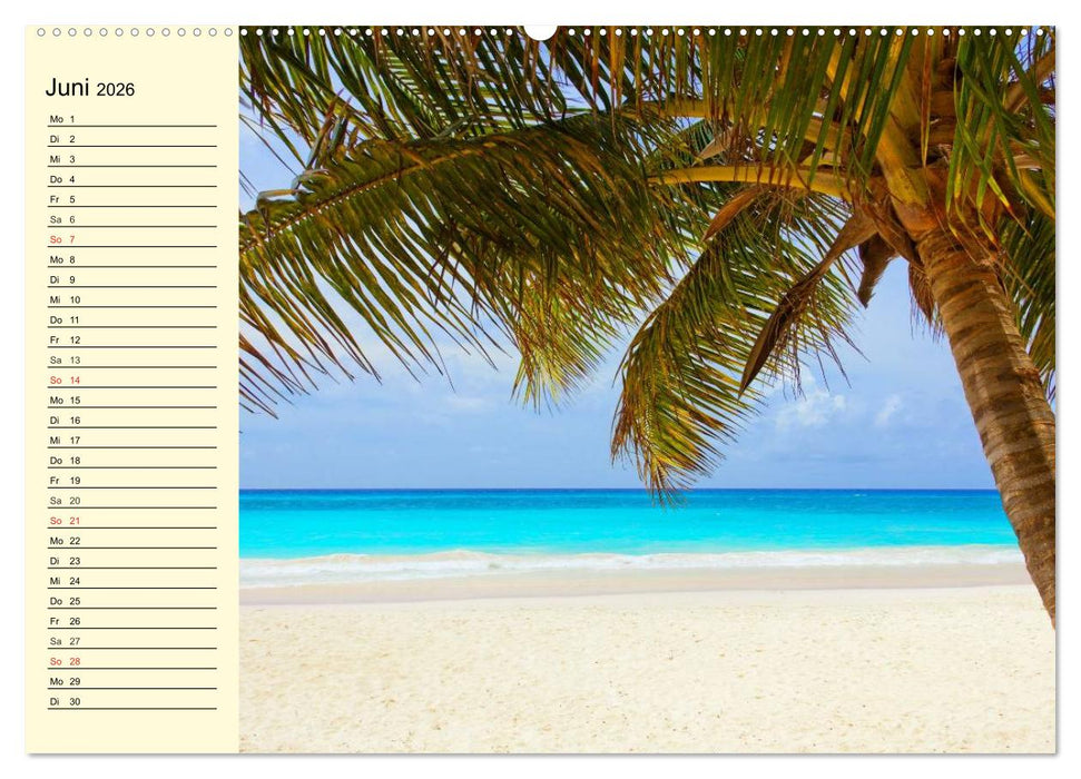 Brasilien. Faszinierend und groß wie ein Kontinent (CALVENDO Premium Wandkalender 2026)