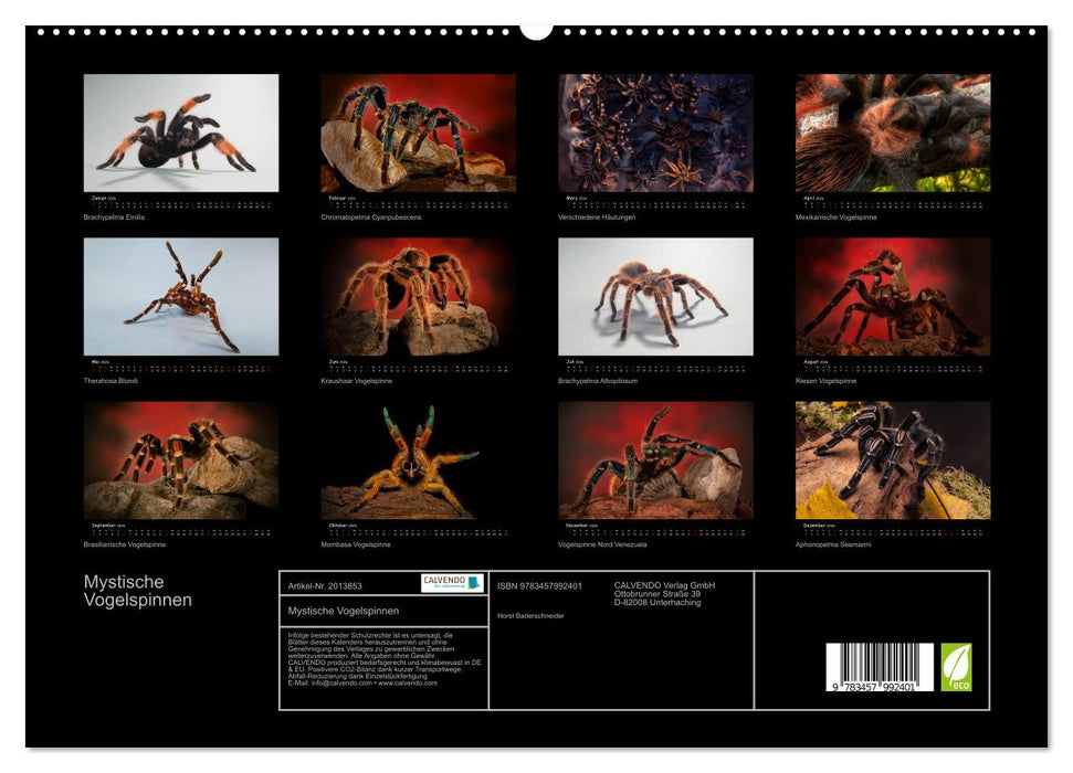 Mystische Vogelspinnen (CALVENDO Premium Wandkalender 2026)