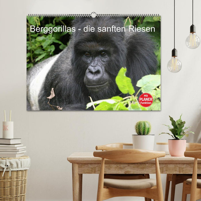 Berggorillas - die sanften Riesen (CALVENDO Wandkalender 2026)