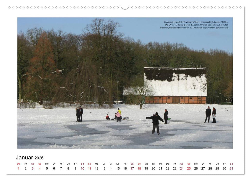 Rosenstadt Uetersen (CALVENDO Wandkalender 2026)