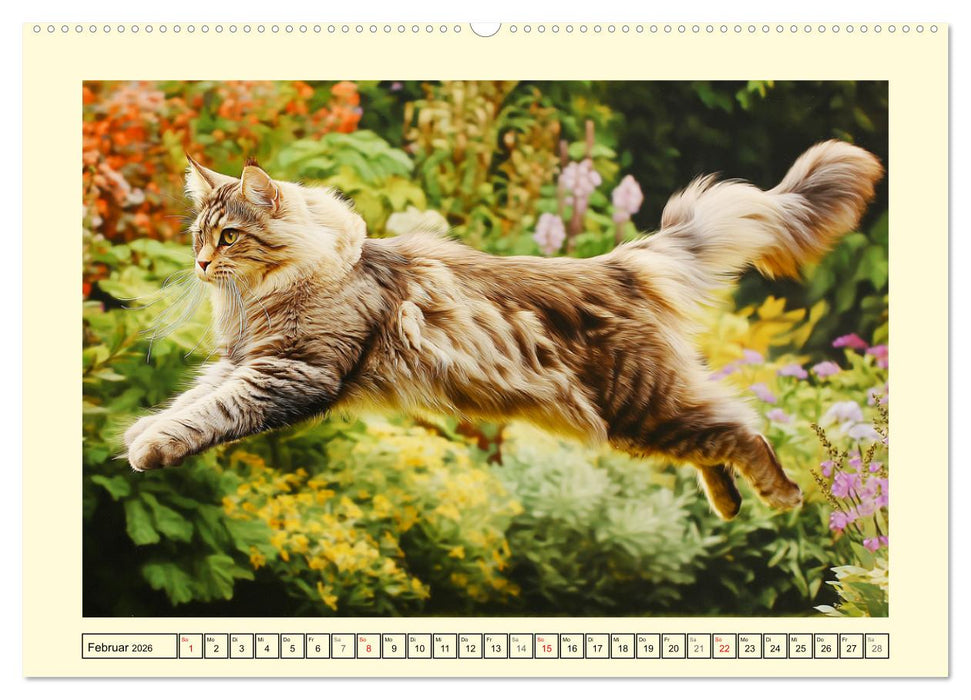 Main-Coon-Katzen. Die imposanten Waldkatzen im Garten (CALVENDO Wandkalender 2026)