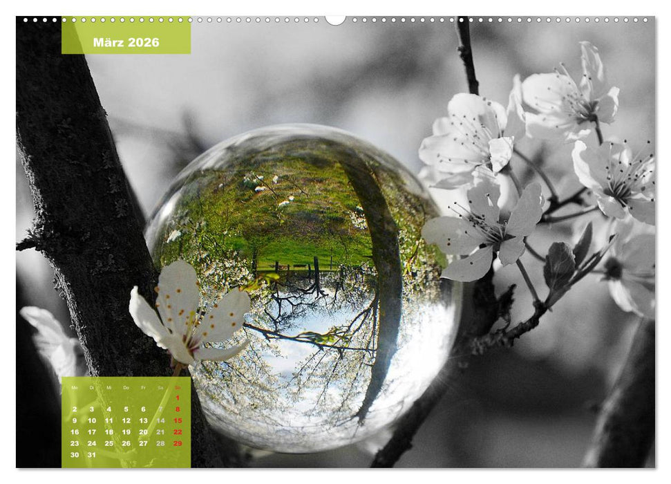 Die bunte Welt in der Kugel - neue Blickwinkel (CALVENDO Premium Wandkalender 2026)