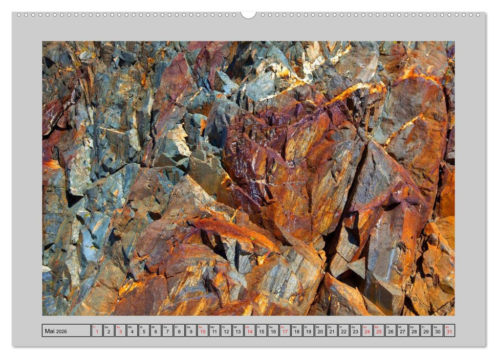 Farbenspiel - Kunstwerke in der Natur 2026 (CALVENDO Wandkalender 2026)