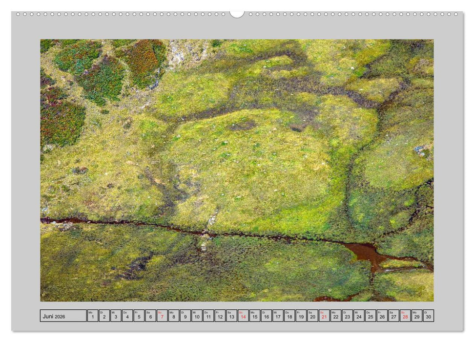 Farbenspiel - Kunstwerke in der Natur 2026 (CALVENDO Wandkalender 2026)