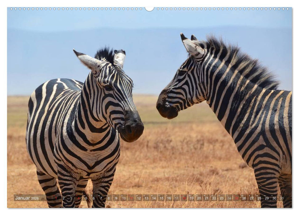 Tansania - Faszinierendes Afrika (CALVENDO Premium Wandkalender 2026)