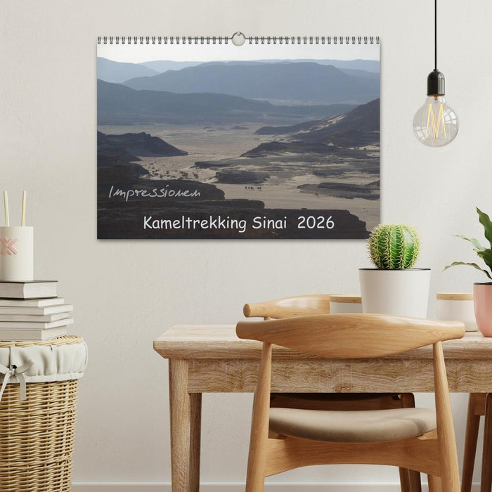 Impressionen Kameltrekking Sinai 2026 (CALVENDO Wandkalender 2026)