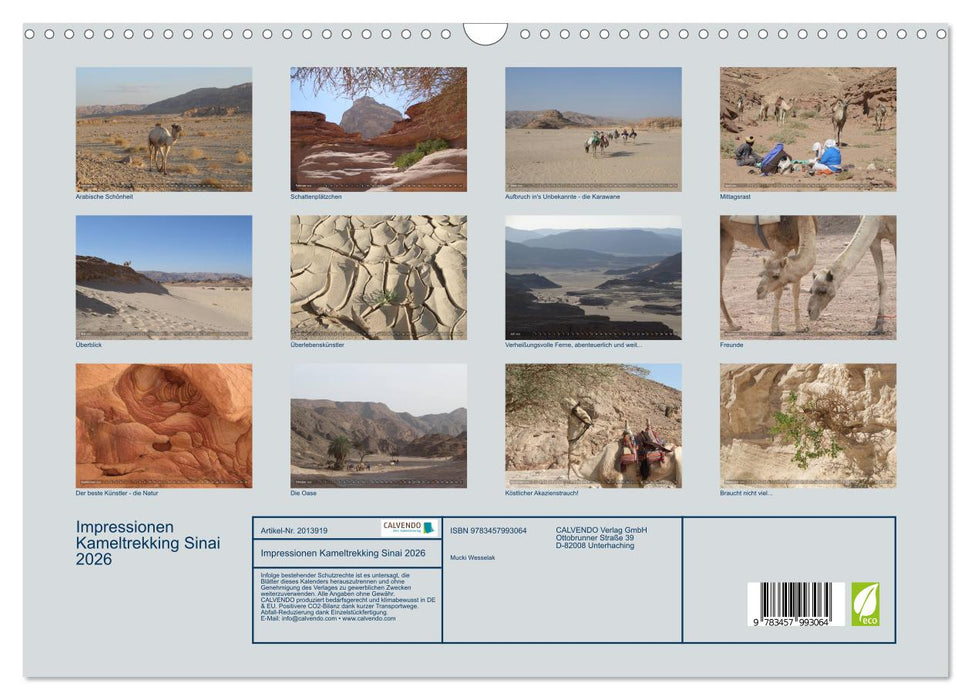 Impressionen Kameltrekking Sinai 2026 (CALVENDO Wandkalender 2026)