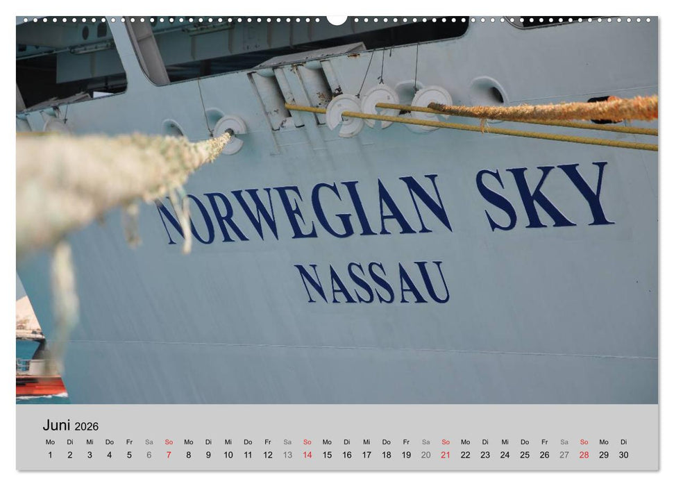 Kreuzfahrt Impressionen (CALVENDO Premium Wandkalender 2026)