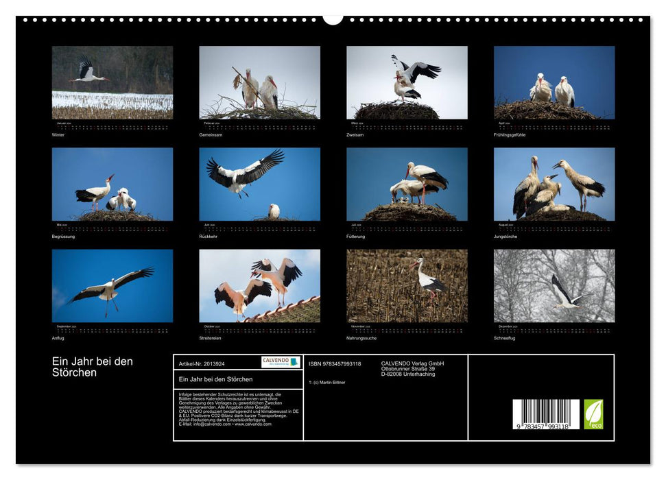 Ein Jahr bei den Störchen (CALVENDO Premium Wandkalender 2026)