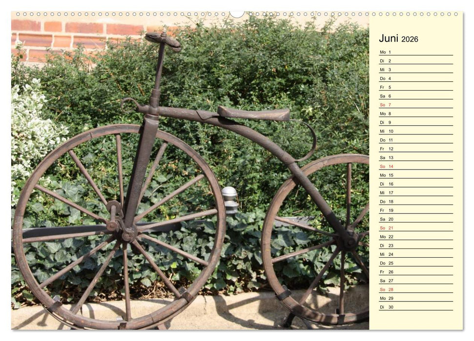 Drahtesel-Allerlei (CALVENDO Wandkalender 2026)