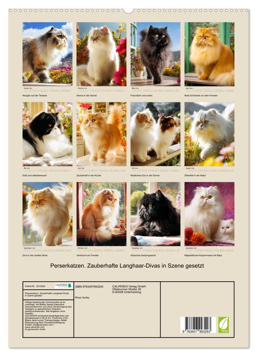 Perserkatzen. Zauberhafte Langhaar-Divas in Szene gesetzt (CALVENDO Premium Wandkalender 2026)