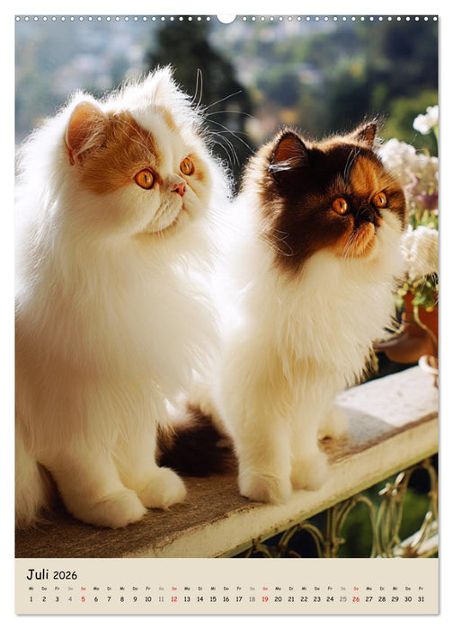 Perserkatzen. Zauberhafte Langhaar-Divas in Szene gesetzt (CALVENDO Premium Wandkalender 2026)