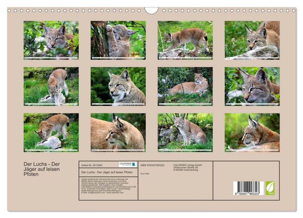 Der Luchs - Der Jäger auf leisen Pfoten (CALVENDO Wandkalender 2026)