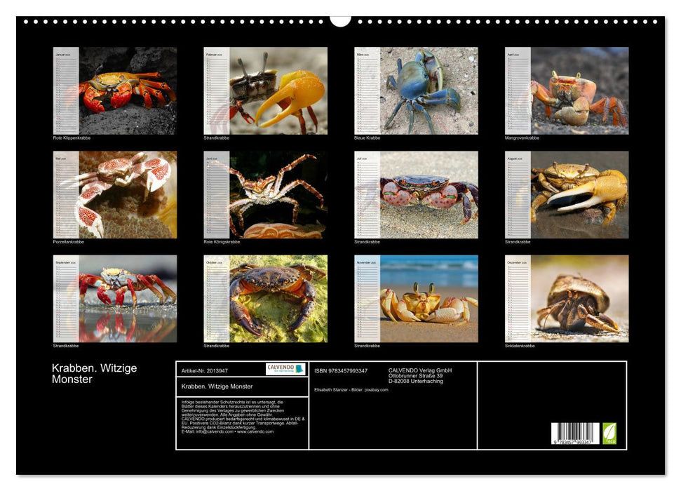 Krabben. Witzige Monster (CALVENDO Wandkalender 2026)