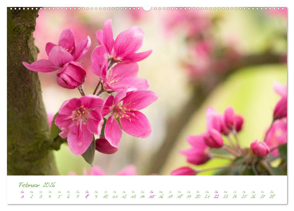 Kreislehrgarten in Steinfurt (CALVENDO Premium Wandkalender 2026)