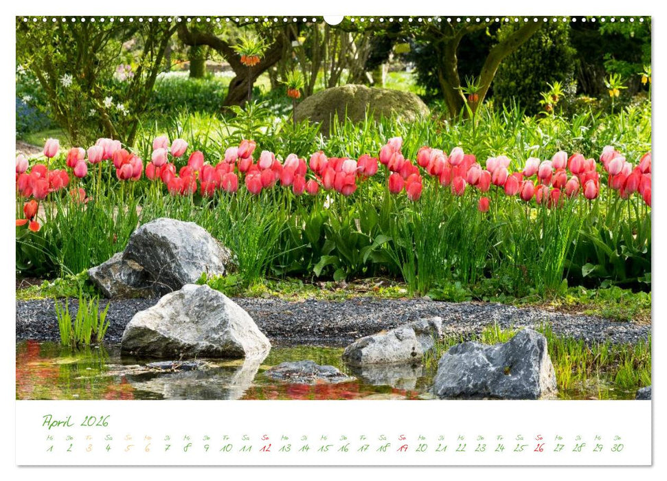 Kreislehrgarten in Steinfurt (CALVENDO Premium Wandkalender 2026)