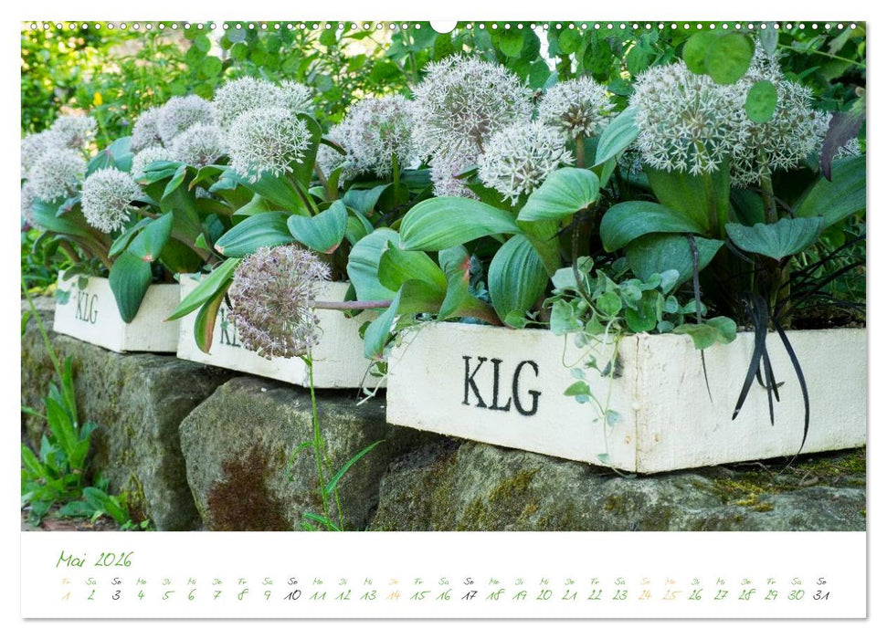 Kreislehrgarten in Steinfurt (CALVENDO Premium Wandkalender 2026)