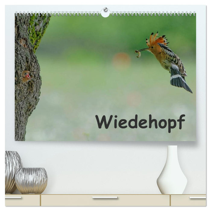 Wiedehopf (CALVENDO Premium Wandkalender 2026)