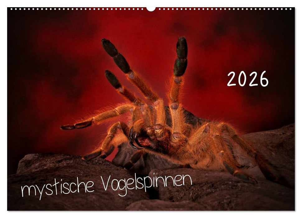Mystische Vogelspinnen (CALVENDO Wandkalender 2026)