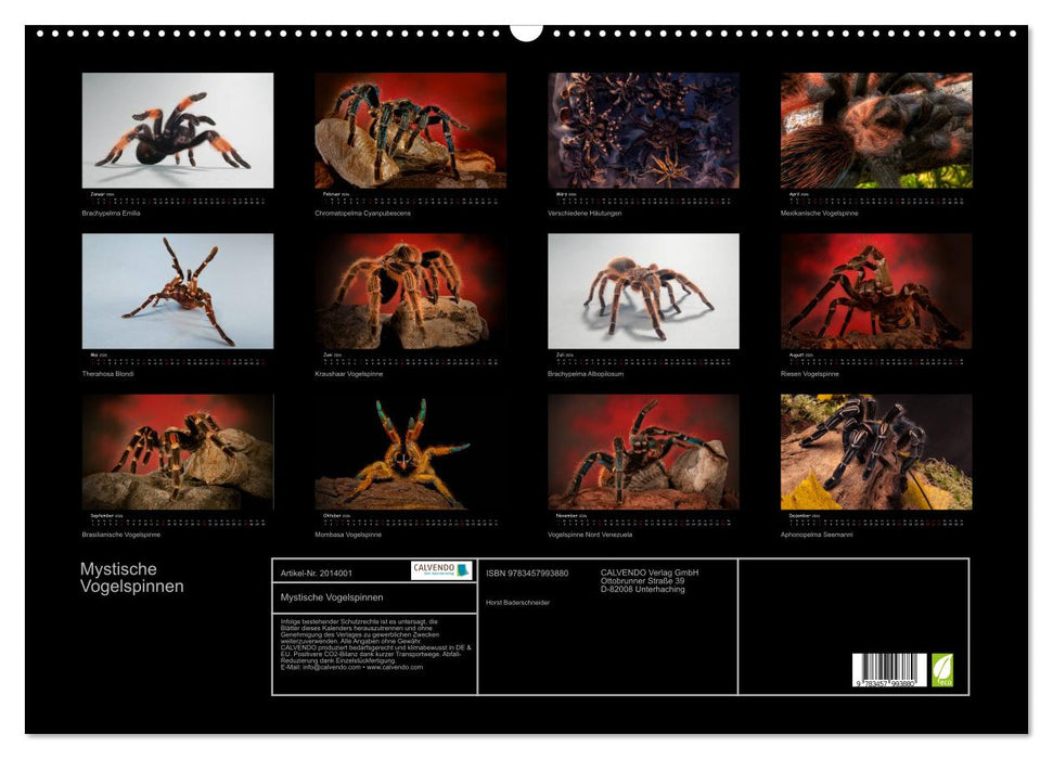 Mystische Vogelspinnen (CALVENDO Wandkalender 2026)