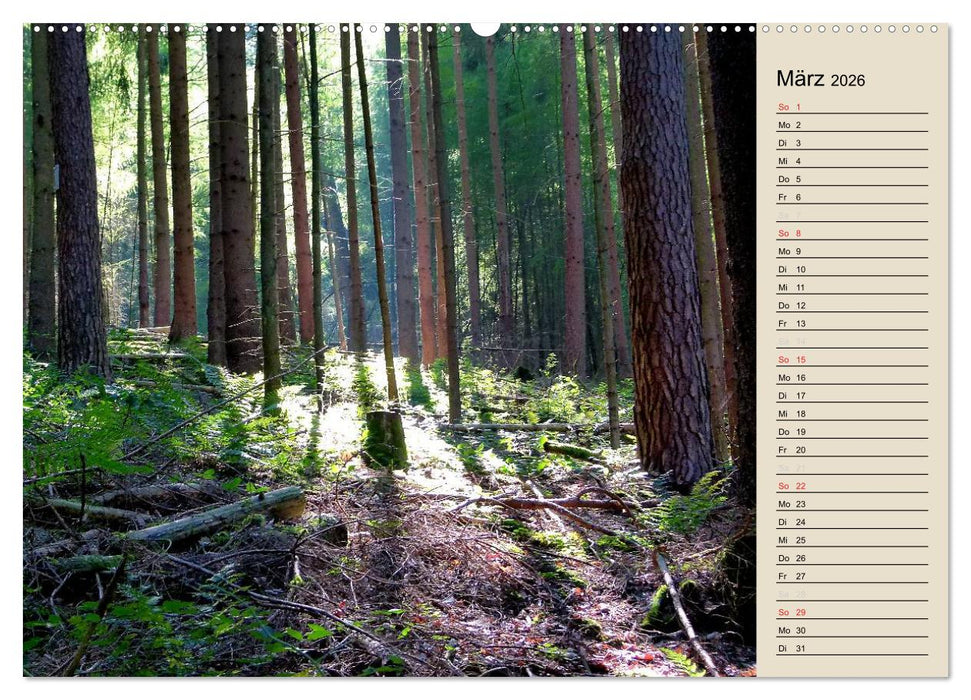 Bad Orb - Romantik im Spessart (CALVENDO Premium Wandkalender 2026)