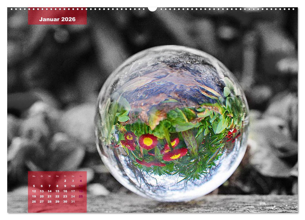 Die bunte Welt in der Kugel - neue Blickwinkel (CALVENDO Wandkalender 2026)
