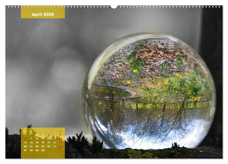 Die bunte Welt in der Kugel - neue Blickwinkel (CALVENDO Wandkalender 2026)