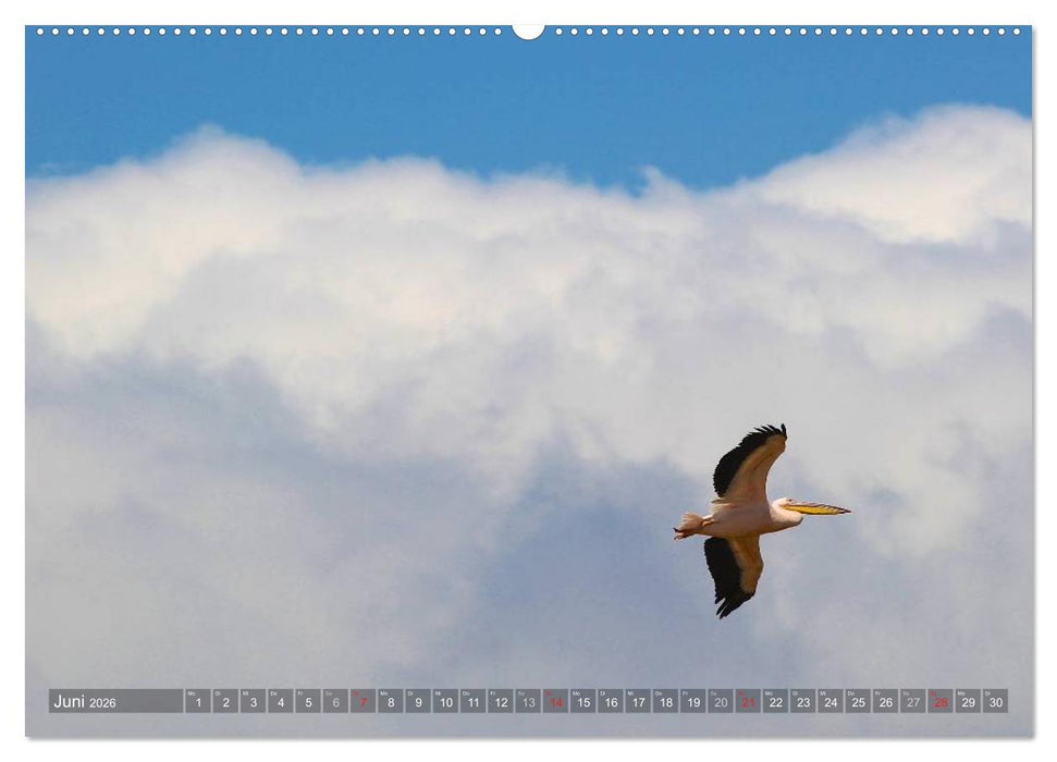 Tansania - Faszinierendes Afrika (CALVENDO Wandkalender 2026)