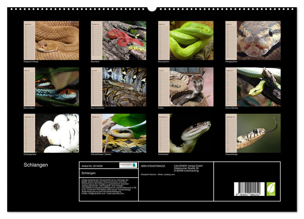 Schlangen (CALVENDO Premium Wandkalender 2026)