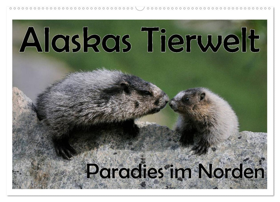 Alaskas Tierwelt - Paradies im Norden (CALVENDO Wandkalender 2026)