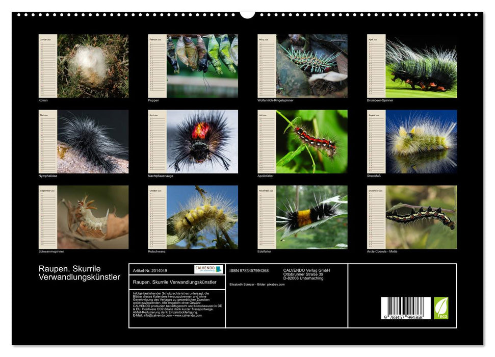 Raupen. Skurrile Verwandlungskünstler (CALVENDO Premium Wandkalender 2026)